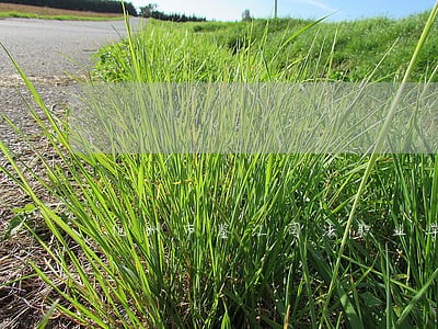 化州市鉴江司法职业学校招生报名 化州市鉴江司法职业学校招生报名