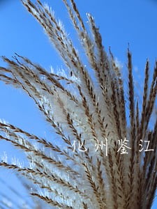 化州鉴江司法职业学院怎么样 化州鉴江司法职业学院怎么样