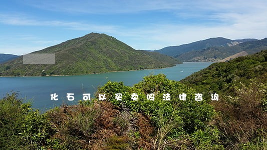 化石可以买卖吗法律咨询 化石可以买卖吗法律咨询