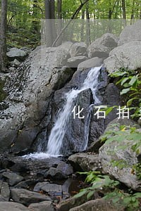 化石拍卖违法 化石拍卖违法