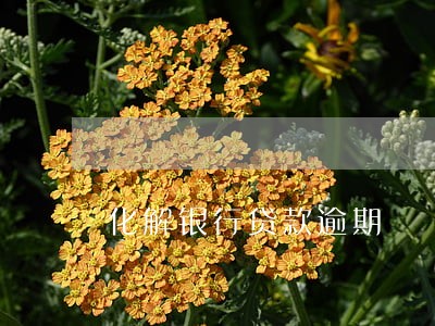 化解银行贷款逾期 化解银行贷款逾期