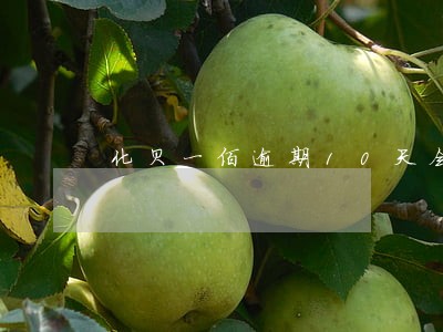 化贝一佰逾期10天会怎么样 化贝一佰逾期10天会怎么样
