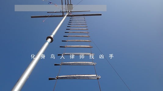 化身鸟人律师找凶手 化身鸟人律师找凶手