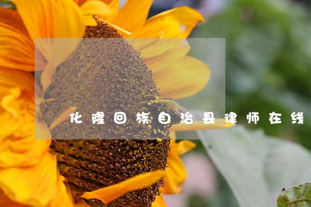 化隆回族自治县律师在线免费咨询 化隆回族自治县律师在线免费咨询