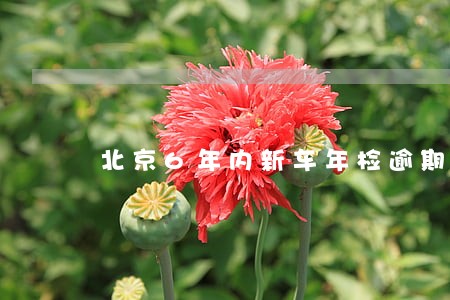 北京6年内新车年检逾期 北京6年内新车年检逾期