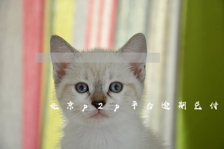 北京p2p平台逾期兑付名单 北京p2p平台逾期兑付名单