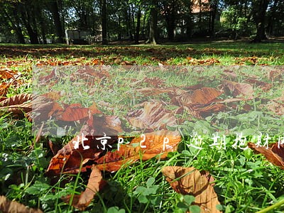 北京p2p逾期抱财网 北京p2p逾期抱财网