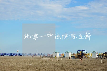 北京一中法院陈立新 北京一中法院陈立新