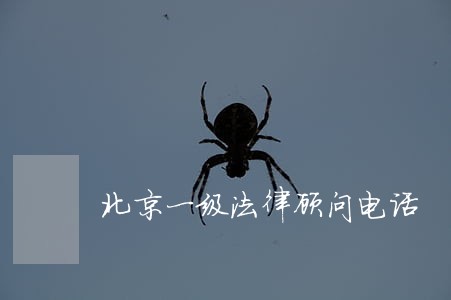 北京一级法律顾问电话 北京一级法律顾问电话