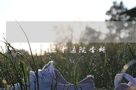 北京三中法院李新 北京三中法院李新