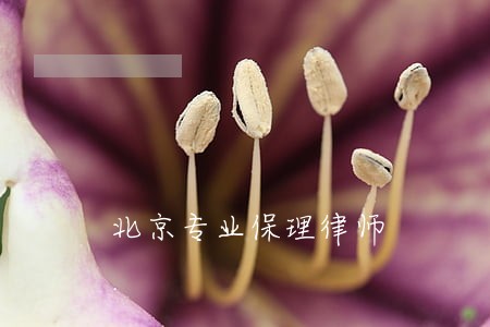 北京专业保理律师 北京专业保理律师