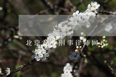 北京专业刑事律师网 北京专业刑事律师网