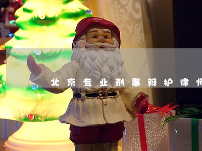 北京专业刑事辩护律师 北京专业刑事辩护律师