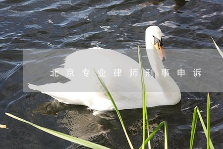 北京专业律师刑事申诉