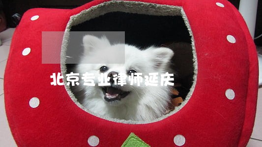 北京专业律师延庆 北京专业律师延庆