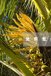 北京专业执行律师排行