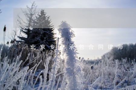 北京专业承包合同律师 北京专业承包合同律师
