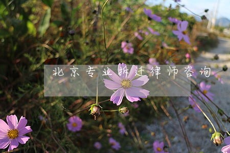 北京专业拆迁律师咨询 北京专业拆迁律师咨询