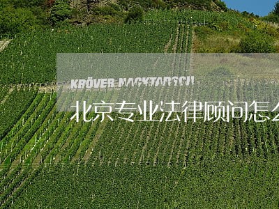 北京专业法律顾问怎么样 北京专业法律顾问怎么样