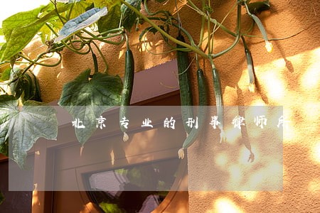北京专业的刑事律师所 北京专业的刑事律师所