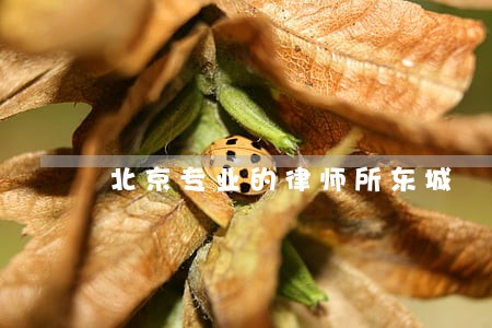 北京专业的律师所东城 北京专业的律师所东城
