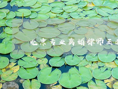 北京专业离婚律师王南顺 北京专业离婚律师王南顺