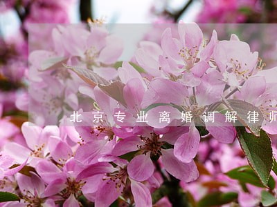 北京专业离婚调解律师 北京专业离婚调解律师