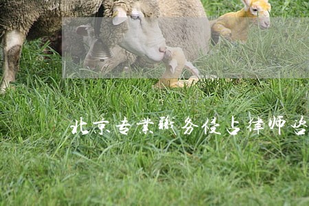 北京专业职务侵占律师咨询 北京专业职务侵占律师咨询