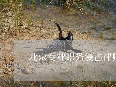 北京专业职务侵占律师排名 北京专业职务侵占律师排名