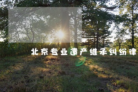 北京专业遗产继承纠纷律师电话 北京专业遗产继承纠纷律师电话