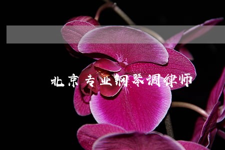 北京专业钢琴调律师 北京专业钢琴调律师