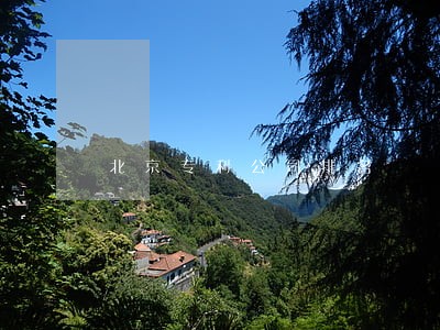 北京专利公司排名 北京专利公司排名