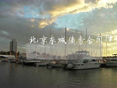 北京东城债务合同律师微信咨询 北京东城债务合同律师微信咨询