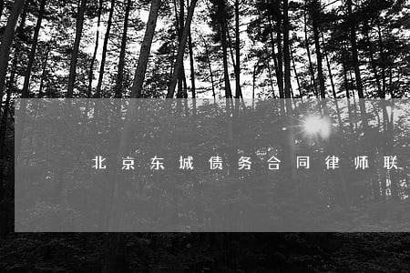 北京东城债务合同律师联系方式 北京东城债务合同律师联系方式