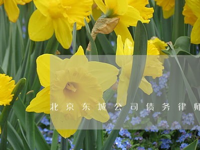 北京东城公司债务律师费用标准 北京东城公司债务律师费用标准