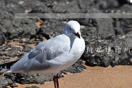北京东城刑事辩护律师所