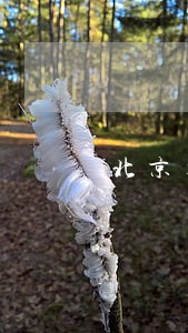 北京东城区家庭纠纷律师报价 北京东城区家庭纠纷律师报价