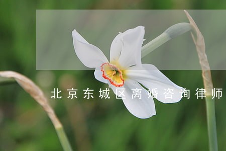 北京东城区离婚咨询律师怎么收费 北京东城区离婚咨询律师怎么收费
