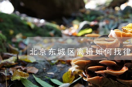 北京东城区离婚如何找律师 北京东城区离婚如何找律师