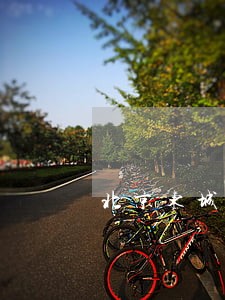 北京东城区离婚请律师费要多少钱 北京东城区离婚请律师费要多少钱