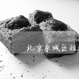 北京东城区租赁设备合同律师 北京东城区租赁设备合同律师