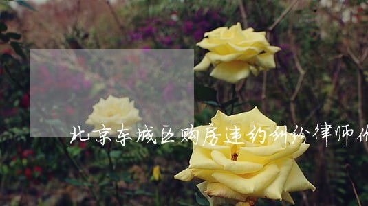 北京东城区购房违约纠纷律师价格