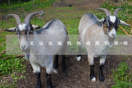 北京东城婚外情离婚律师 北京东城婚外情离婚律师