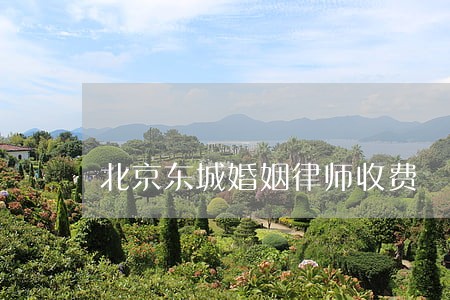 北京东城婚姻律师收费 北京东城婚姻律师收费