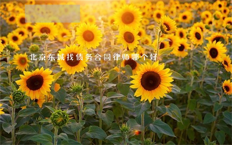 北京东城找债务合同律师哪个好 北京东城找债务合同律师哪个好