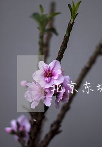 北京东城重大刑事律师费用标准 北京东城重大刑事律师费用标准