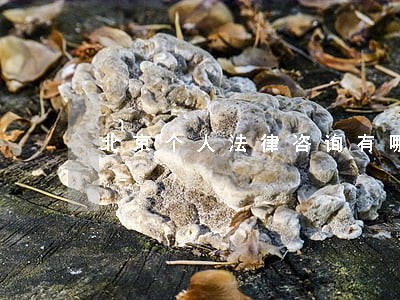 北京个人法律咨询有哪些 北京个人法律咨询有哪些