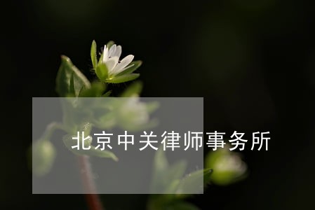 北京中关律师事务所 北京中关律师事务所
