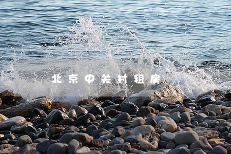 北京中关村租房