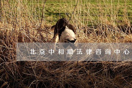 北京中和顺法律咨询中心 北京中和顺法律咨询中心